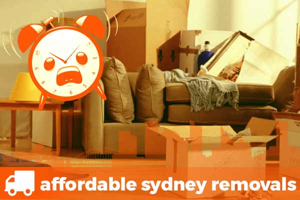 last minute removals boxes couch and furniture removalist ready